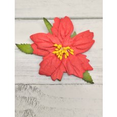 CF1-12 Big Red Christmas Poinsettia  1pcs