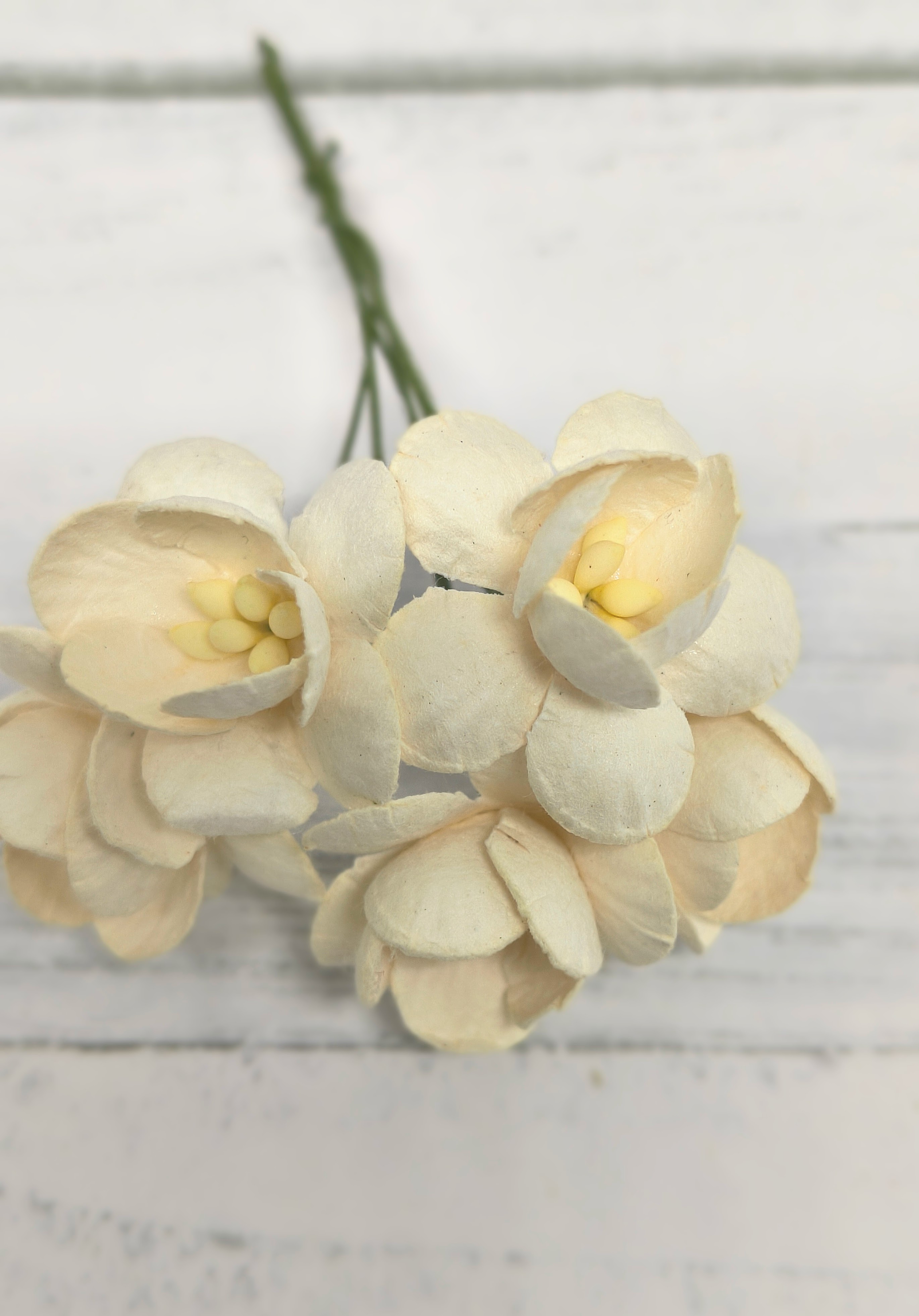 CHB-S3-1 ECRU- Cherry Blossoms I am Roses Paper Flowers - 5pcs