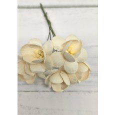 CHB-S3-1 ECRU- Cherry Blossoms I am Roses Paper Flowers - 5pcs