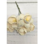 CHB-S3-1 ECRU- Cherry Blossoms I am Roses Paper Flowers - 5pcs