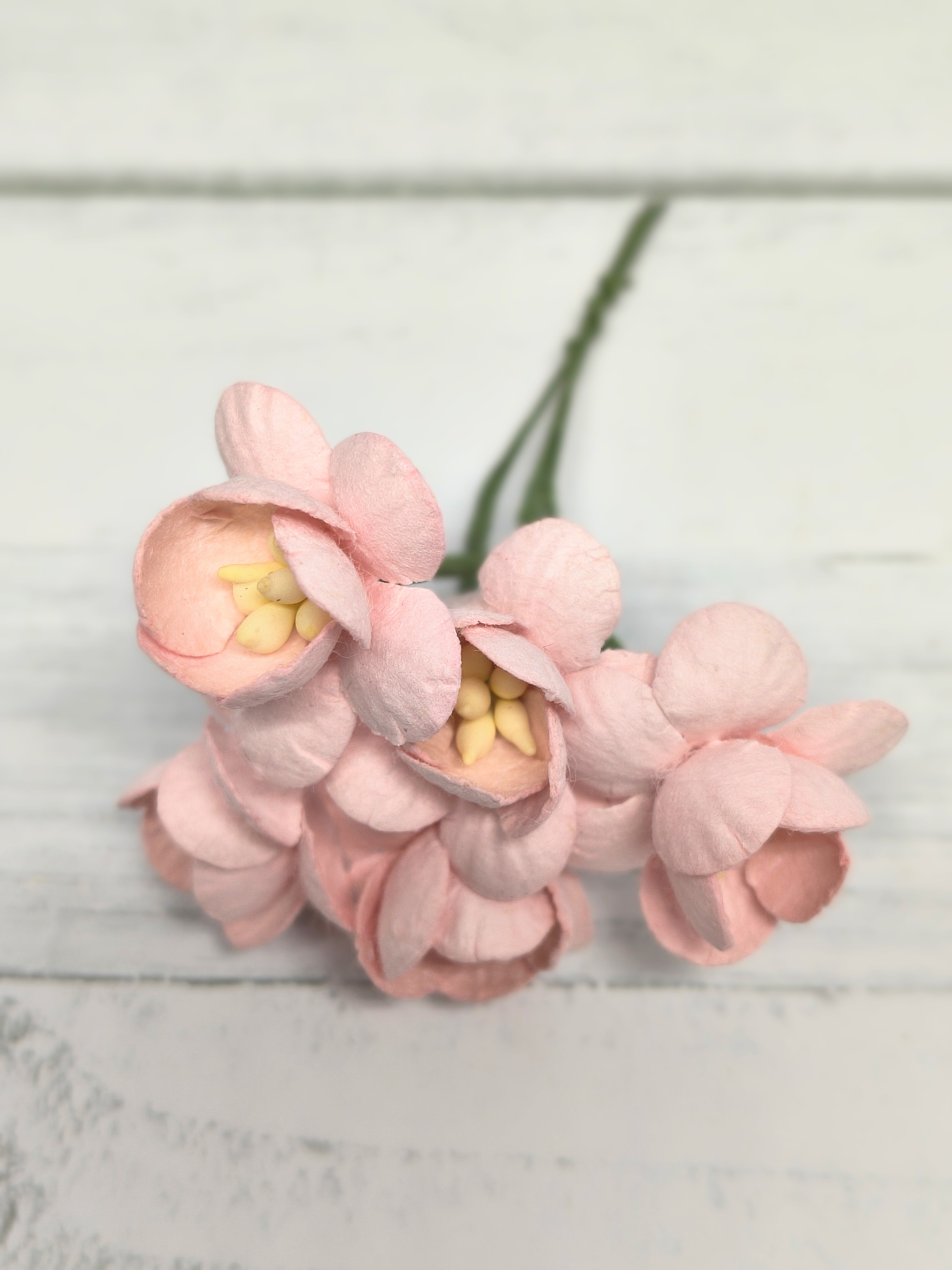 CHB-S3-10 BABY PINK Cherry Blossoms I am Roses Paper Flowers - 5pcs