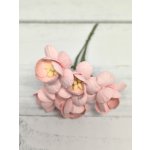 CHB-S3-10 BABY PINK Cherry Blossoms I am Roses Paper Flowers - 5pcs