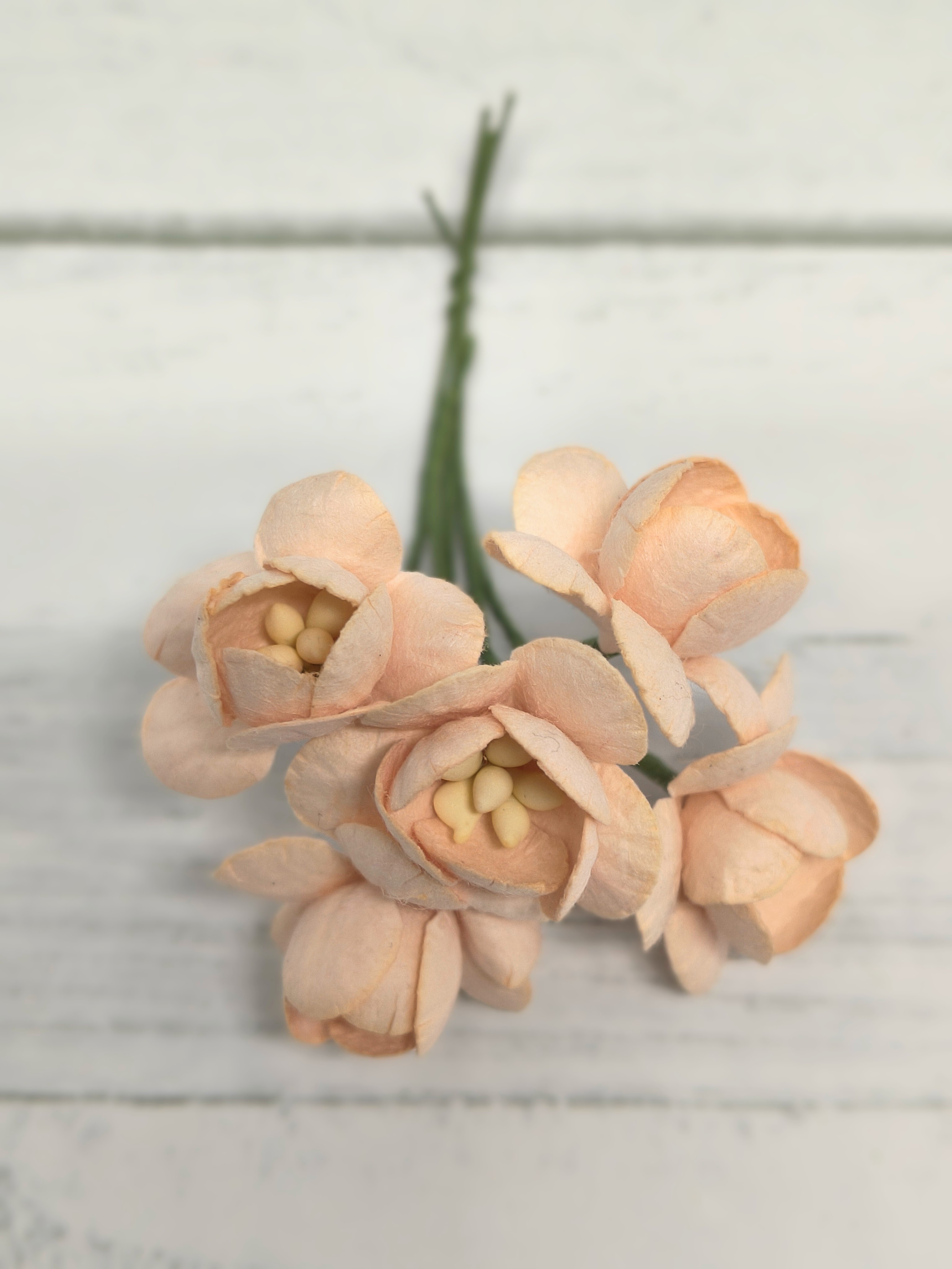 CHB-S3-11 PEACH Cherry Blossoms I am Roses Paper Flowers - 5pcs
