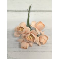 CHB-S3-11 PEACH Cherry Blossoms I am Roses Paper Flowers - 5pcs