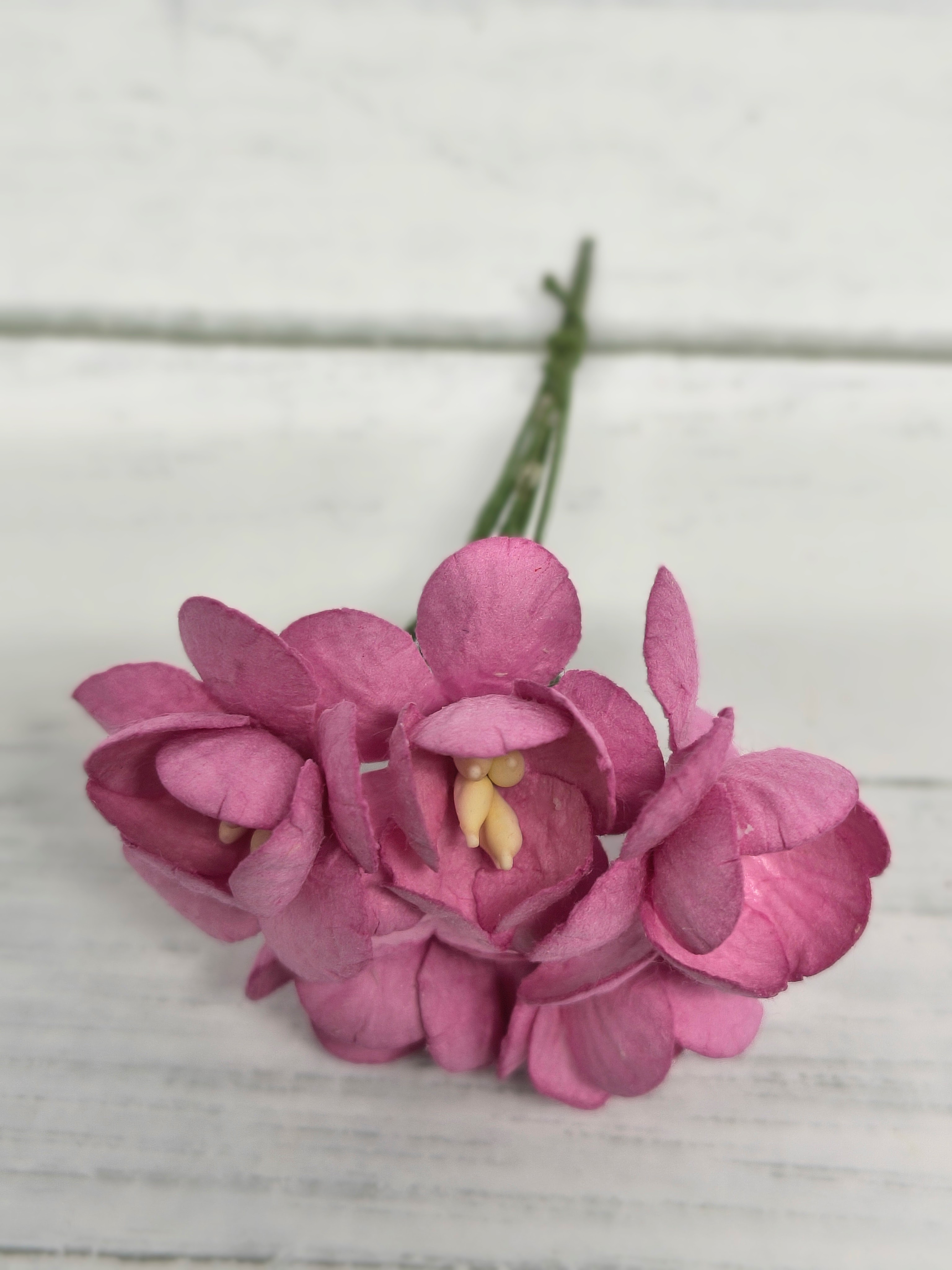 CHB-S3-12 PINK Cherry Blossoms I am Roses Paper Flowers - 5pcs