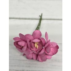 CHB-S3-12 PINK Cherry Blossoms I am Roses Paper Flowers - 5pcs