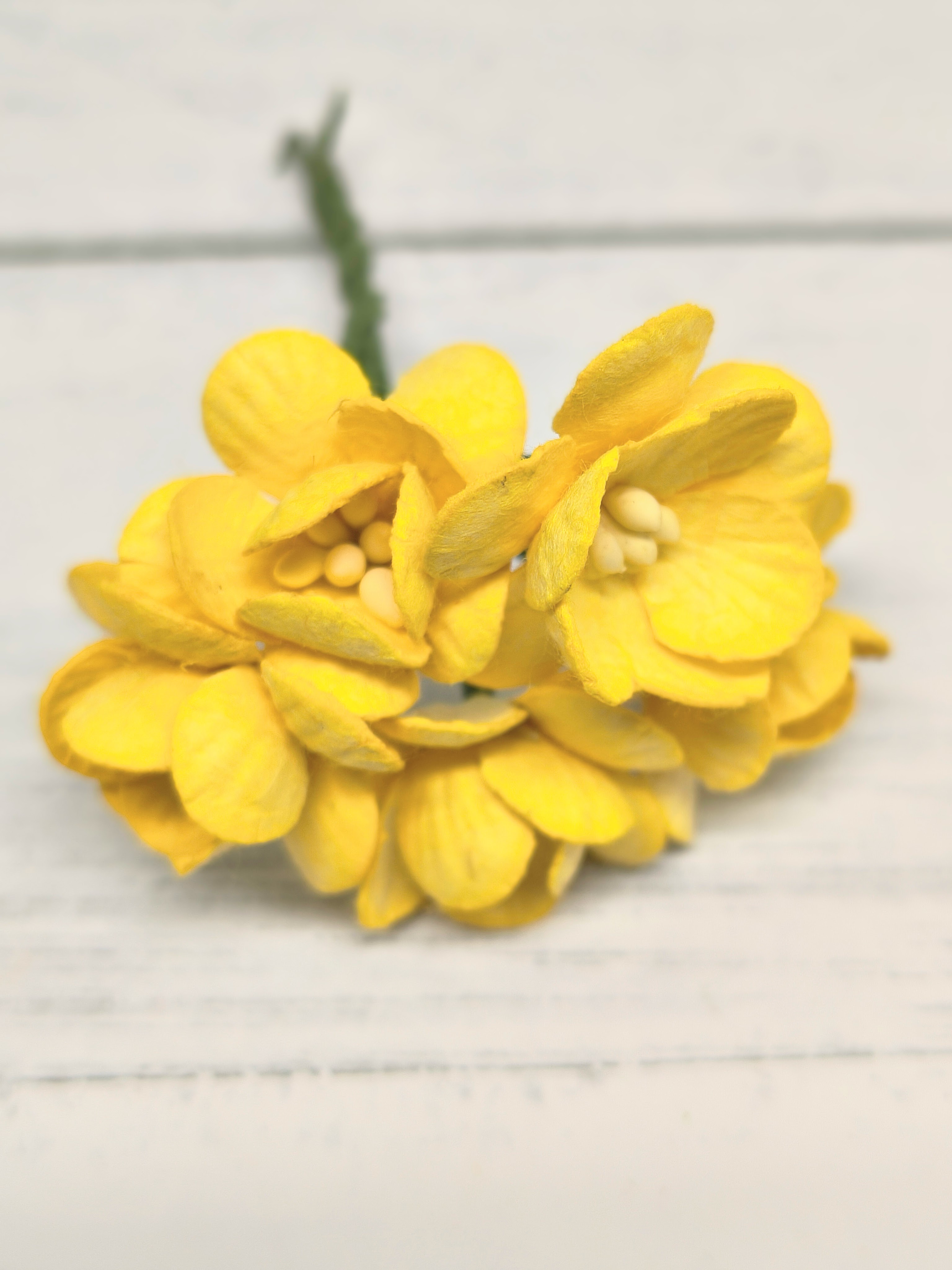 CHB-S3-13 YELLOW Cherry Blossoms I am Roses Paper Flowers - 5pcs