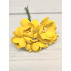 CHB-S3-13 YELLOW Cherry Blossoms I am Roses Paper Flowers - 5pcs