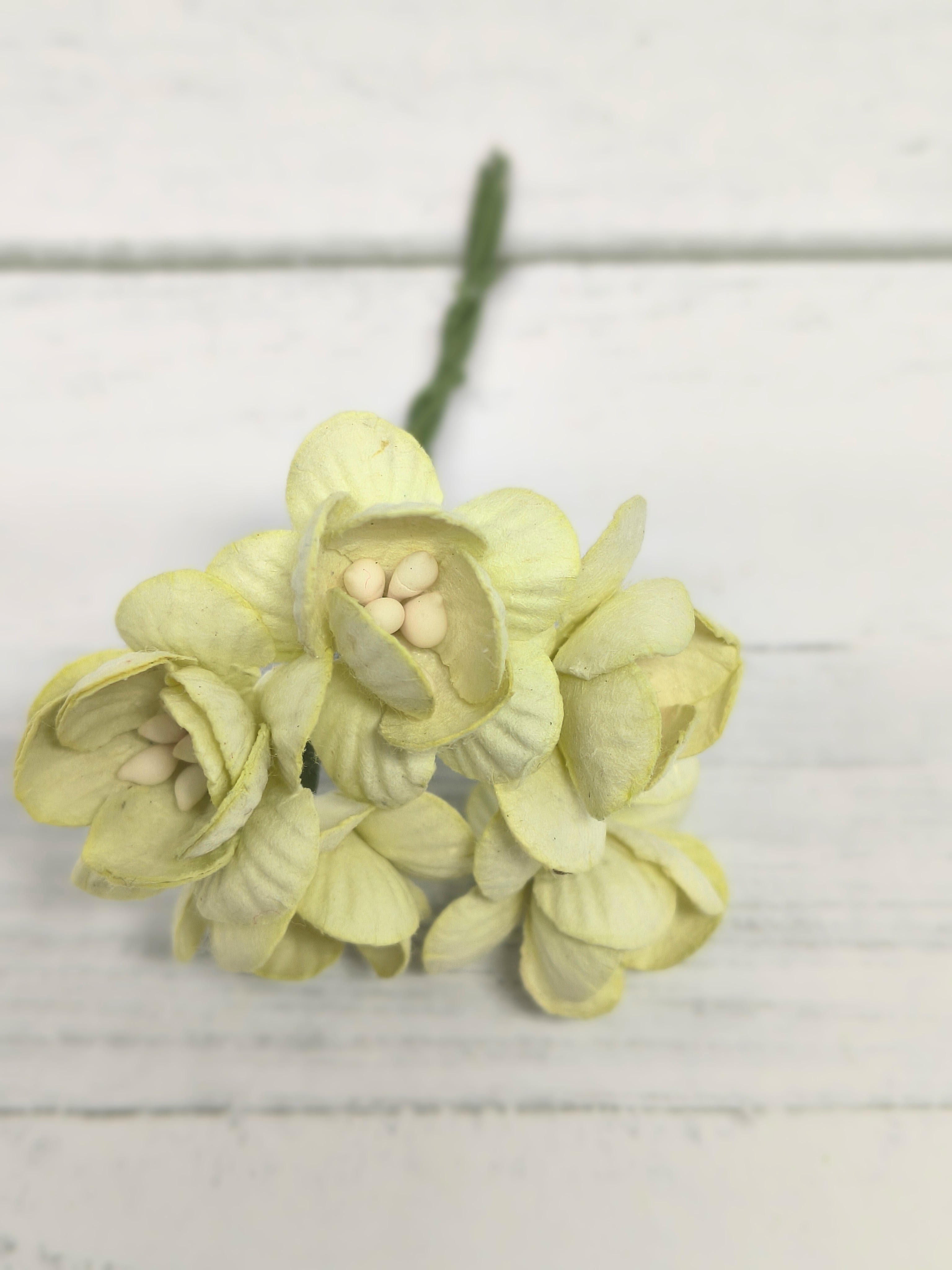 CHB-S3-14 SOFT GREEN Cherry Blossoms I am Roses Paper Flowers - 5pcs