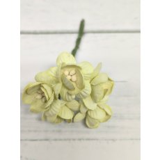CHB-S3-14 SOFT GREEN Cherry Blossoms I am Roses Paper Flowers - 5pcs