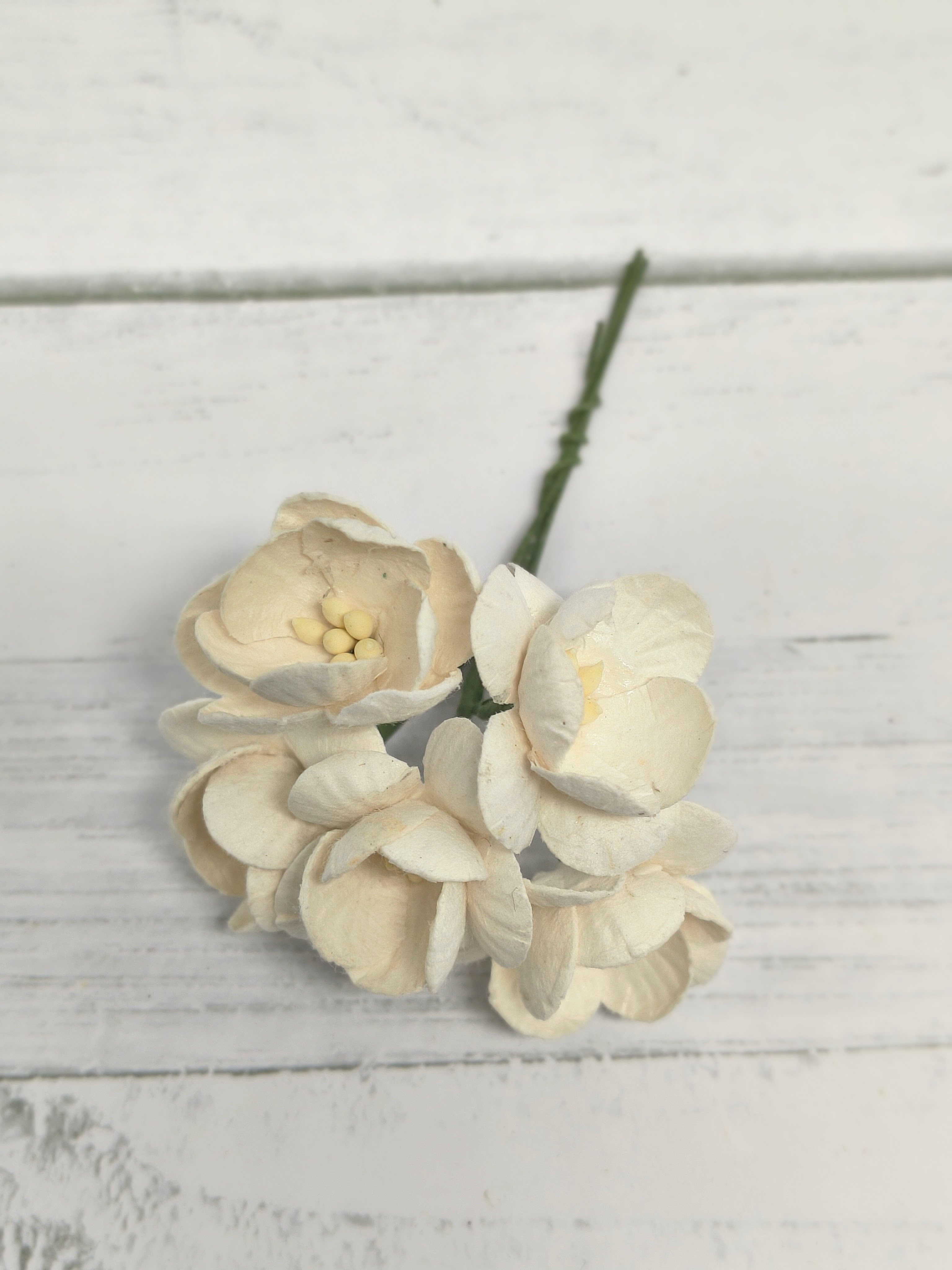CHB-S3-2 WHITE Cherry Blossoms I am Roses Paper Flowers - 5pcs