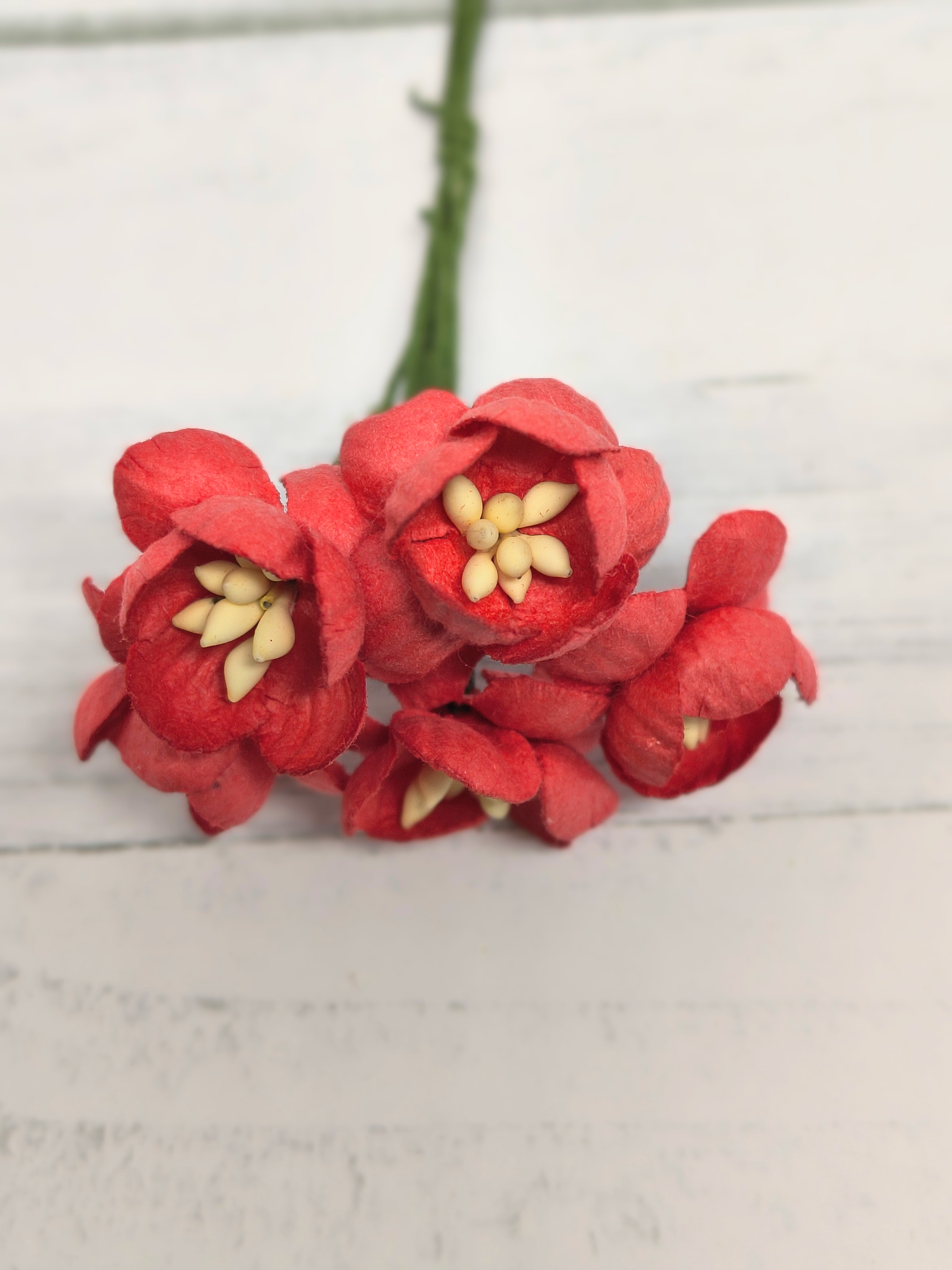 CHB-S3-3 RED Cherry Blossoms I am Roses Paper Flowers - 5pcs