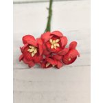 CHB-S3-3 RED Cherry Blossoms I am Roses Paper Flowers - 5pcs