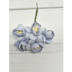 CHB-S3-4 BABY BLUE Cherry Blossoms I am Roses Paper Flowers - 5pcs