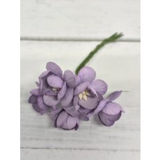 CHB-S3-6 PURPLE Cherry Blossoms I am Roses Paper Flowers - 5pcs
