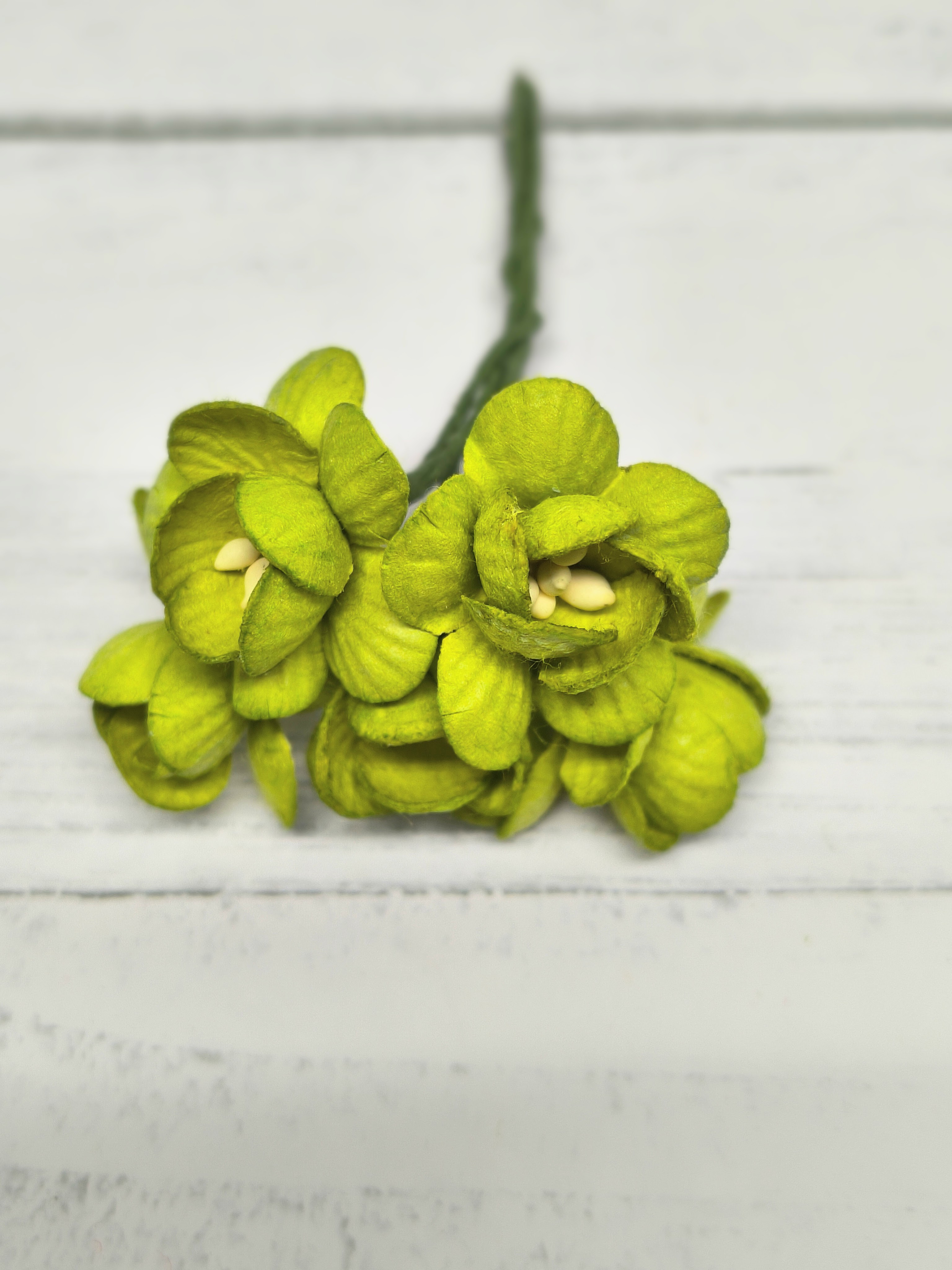 CHB-S3-8 LIME GREEN Cherry Blossoms I am Roses Paper Flowers - 5pcs