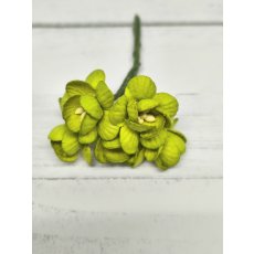 CHB-S3-8 LIME GREEN Cherry Blossoms I am Roses Paper Flowers - 5pcs