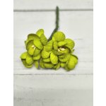CHB-S3-8 LIME GREEN Cherry Blossoms I am Roses Paper Flowers - 5pcs