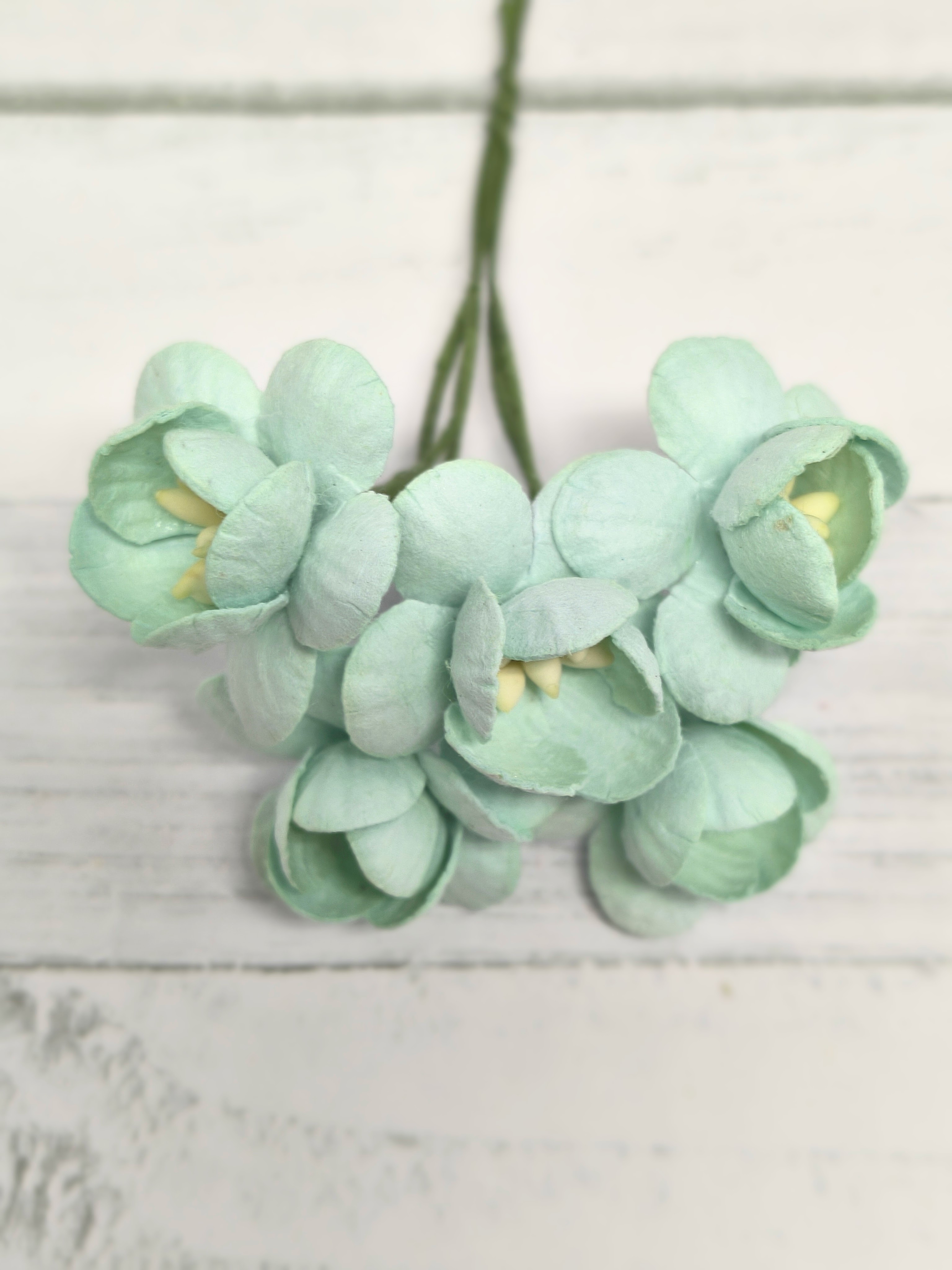 CHB-S3-9 MINTGREEN Cherry Blossoms I am Roses Paper Flowers - 5pcs