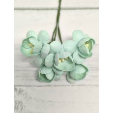 CHB-S3-9 MINTGREEN Cherry Blossoms I am Roses Paper Flowers - 5pcs