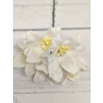 LY1-15 WHITE Lily Paper Flowers - 5pcs