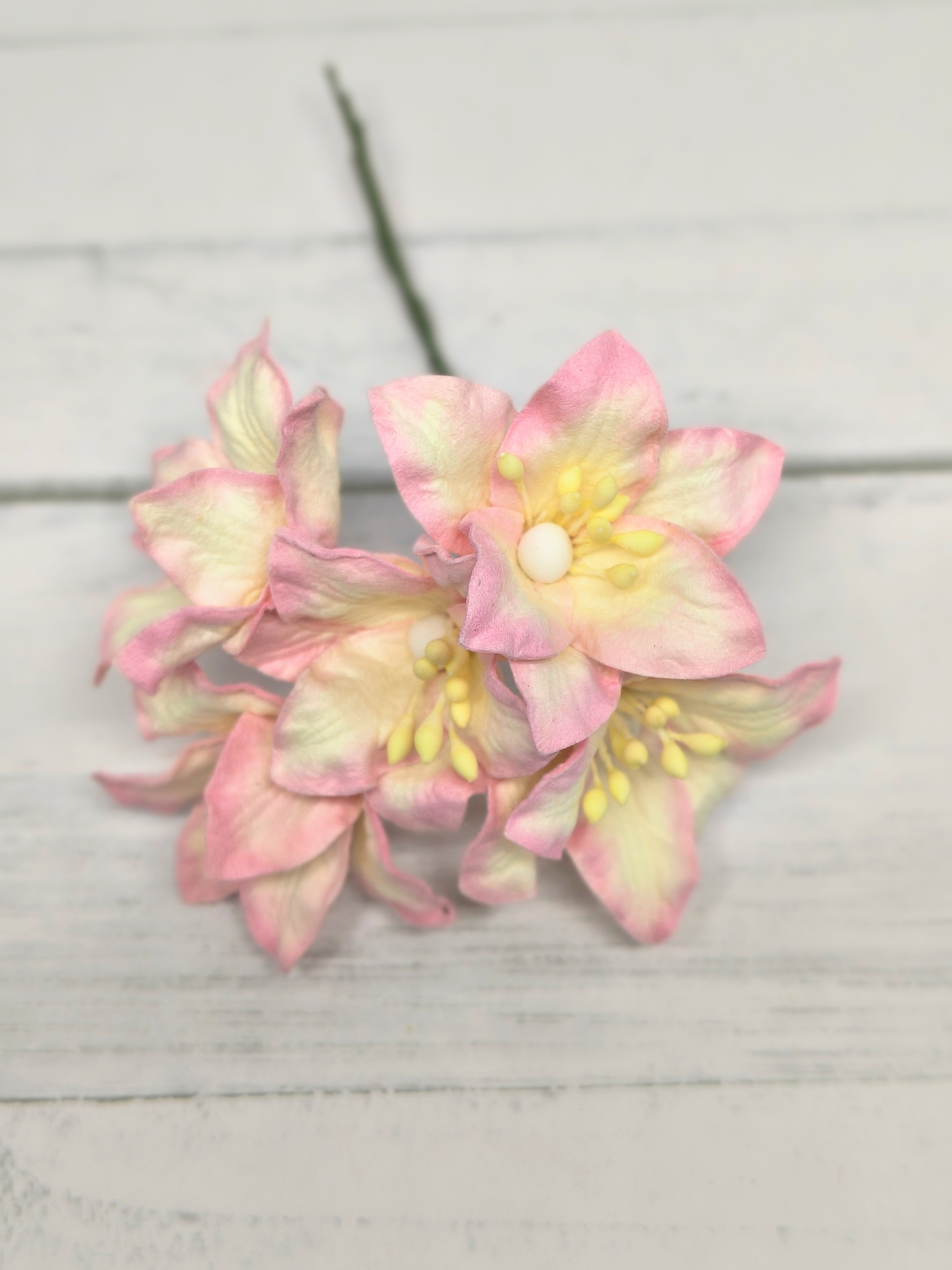 LY1-526 CREAM PINK Lily Paper Flowers - 5pcs