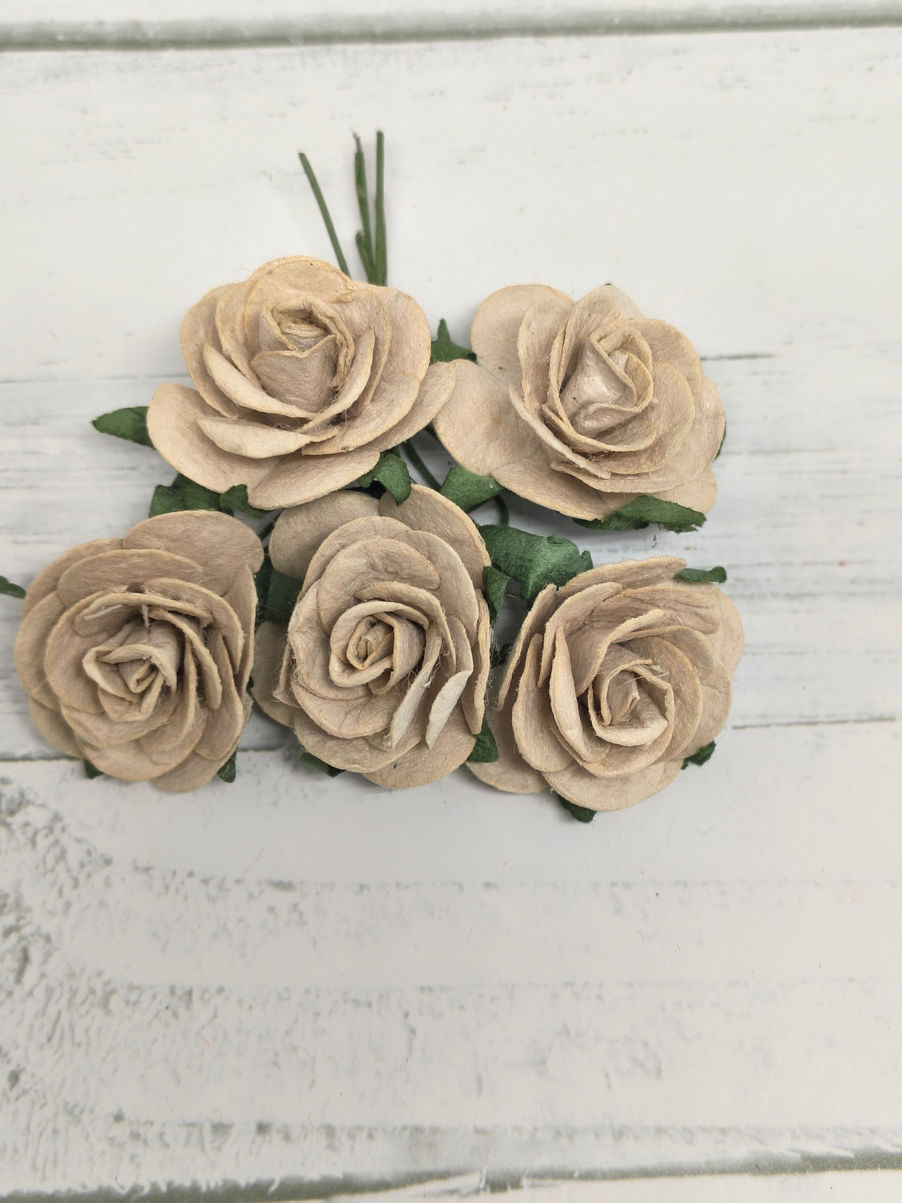 OR-R6-11 Open Roses I am Roses Paper Flowers - BEIGE5pcs