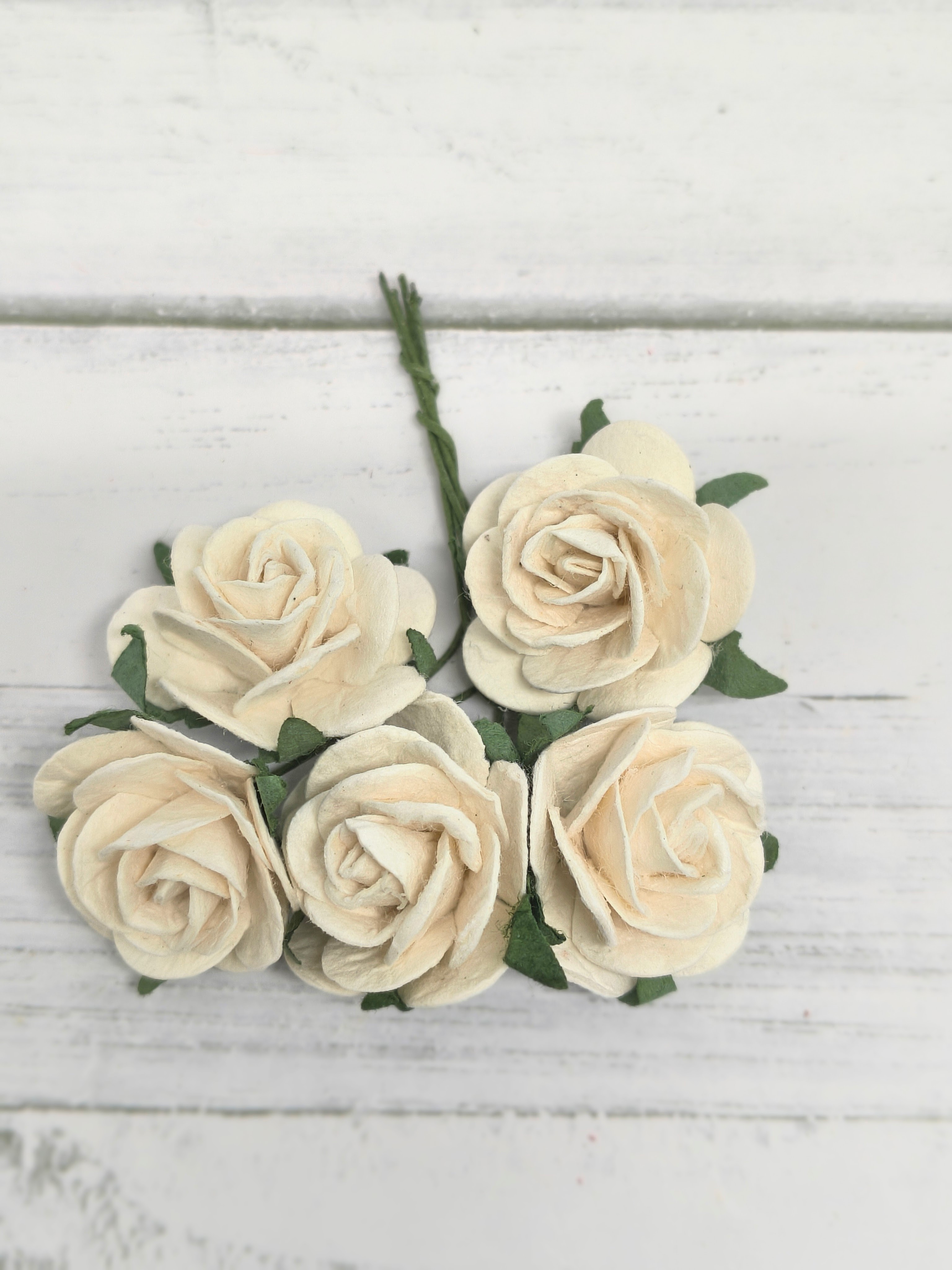 OR-R6-2 Open Roses I am Roses Paper Flowers -ECRU-5pcs
