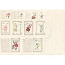 PD3608 Papier dwustronny Seed packets - Vintage Garden