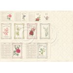 PD3608 Papier dwustronny Seed packets - Vintage Garden