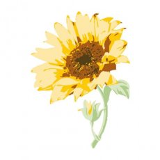 665975  Sizzix • Layered Clear Stamps Sunflower Stem