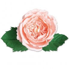 666120 Sizzix • Thinlits Die Set Garden Rose 7pcs