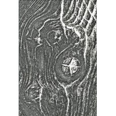666297 Sizzix • 3-D Texture Fades Embossing FolderWoodgrain