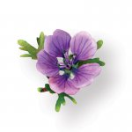 658861 Zestaw wykrojników Thinlits Susan's Garden - Flower, Hardy Geranium