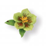 658862 Zestaw wykrojników Thinlits Susan's Garden-Flower, Helleborus