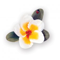 658864 Zestaw wykrojników Thinlits Susan's Garden-Flower, Plumeria
