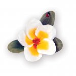 658864 Zestaw wykrojników Thinlits Susan's Garden-Flower, Plumeria