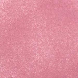 CS907328 Cosmic Shimmer Vintage Ink Spray Mist Clover