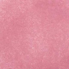 CS907328 Cosmic Shimmer Vintage Ink Spray Mist Clover