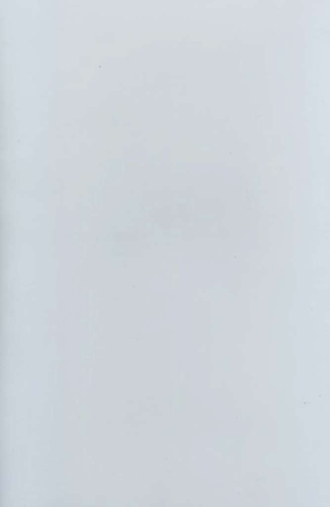 NPBT001 Nellies Choice A4 transparent plate - Shim to use with Press Boss machine