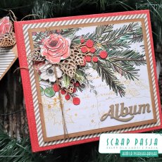 Album