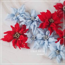 POINSETTIA