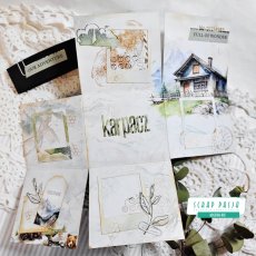 Mini album