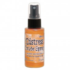 TSO64800 Distress Oxide spray Spiced marmalade